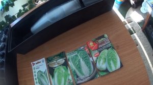 КАПУСТА ПЕКИНСКАЯ, правила и сроки посева, уход за сеянцами.