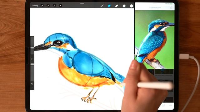 How to Draw Birds: Procreate Tutorial (for any level!) смотреть онлайн
