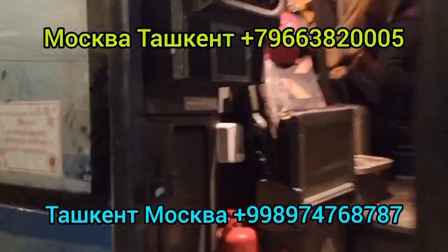 МОСКВА ТАШКЕНТ АВТОБУС ХИЗМАТИ +79258032937 смотреть онлайн