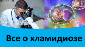 Все о хламидиозе