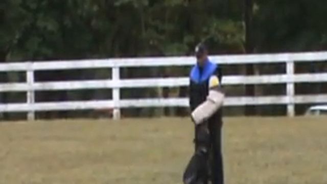 2010 Northeast Regional Champion Schutzhund 3 Protection Routine смотреть онлайн