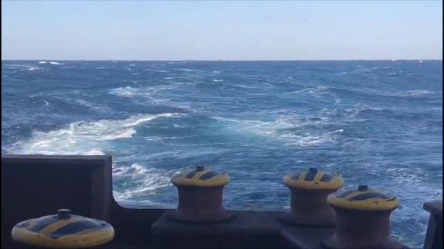 т/х «Геннадий Цыганков» рейс 2019-2020 смотреть онлайн