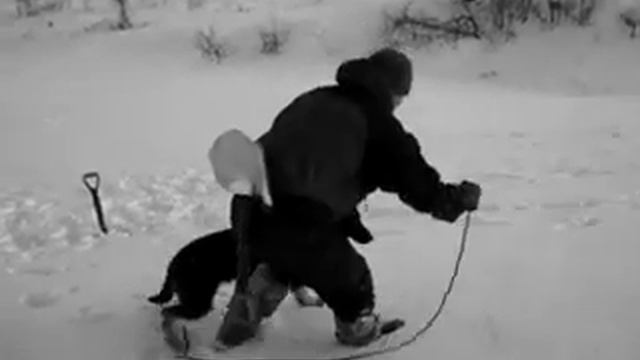 Andy starts to learn winter search смотреть онлайн
