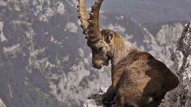 ARMENİAN MUSIC- PARSEKG GANATCHİAN-SHOUSHO- смотреть онлайн