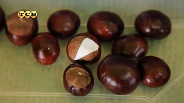 Осенние игры для малышей. Часть 1 смотреть онлайн