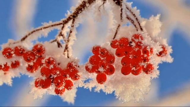 "Лазурно-ванильное небо..." (романс на музыку А.Обидина) смотреть онлайн