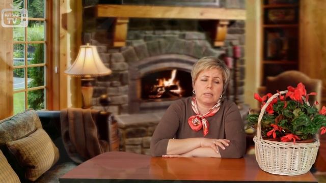 Сорта томатов для Подмосковья ✅ Выбираем лучшие семена ✅ Сад и огород с HitsadTV смотреть онлайн