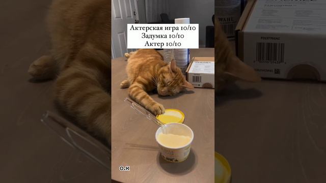 🥰🥰🤣👍 смотреть онлайн