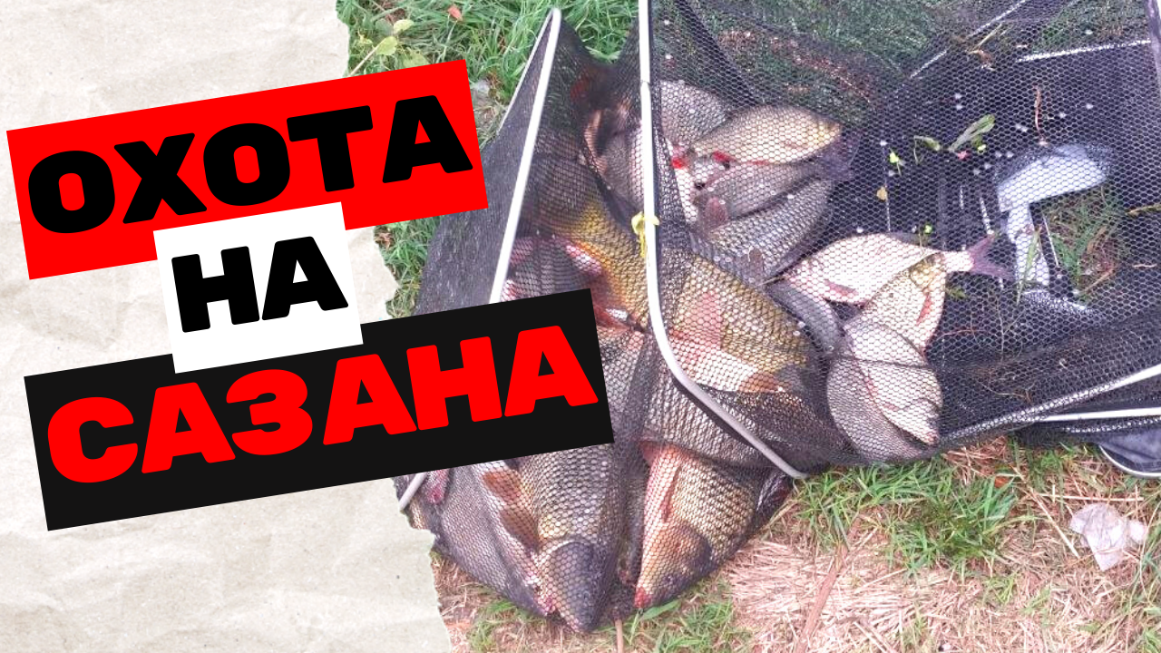 ФИДЕРНАЯ ЛОВЛЯ В НИЗОВЬЯХ ДОНА. ВЫЕЗД С АКЦЕНТОМ ПОЛОВИТЬ САЗАНА. КЛЁВ,КАК БУДТО ВКЛЮЧИЛИ ПО ЗВОНКУ смотреть онлайн