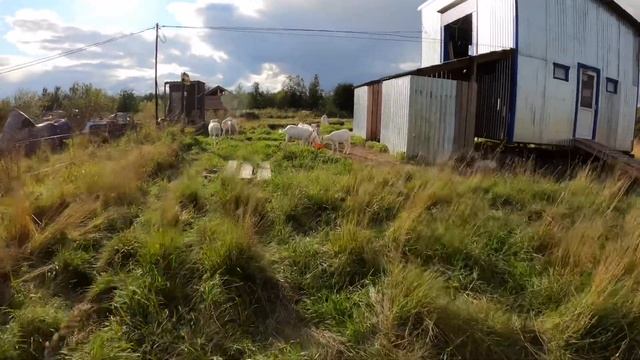 Хозяйство в скиту смотреть онлайн