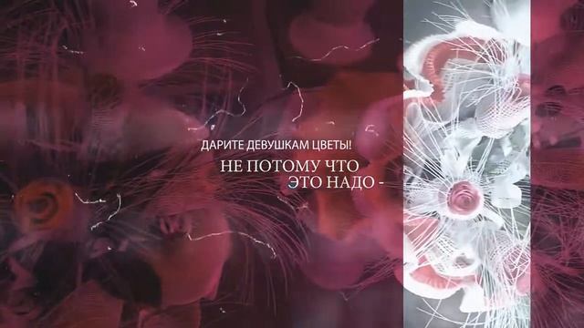 Дарите девушкам цветы - промо ролик смотреть онлайн