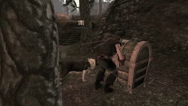 Fable 3 on Intel Pentium G620 and Intel® HD Graphics Family смотреть онлайн