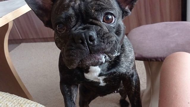 Жить на своей земле