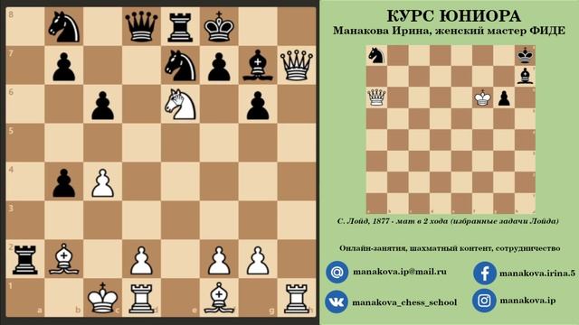 Шахматы. Рентген. Стань чемпионом смотреть онлайн