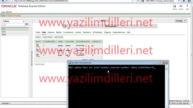 Oracle Görsel Eğitim Seti - 12 - Oracle Update İşlemi смотреть онлайн