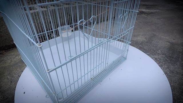 Can we catch bird with cage? - cage bird trap смотреть онлайн
