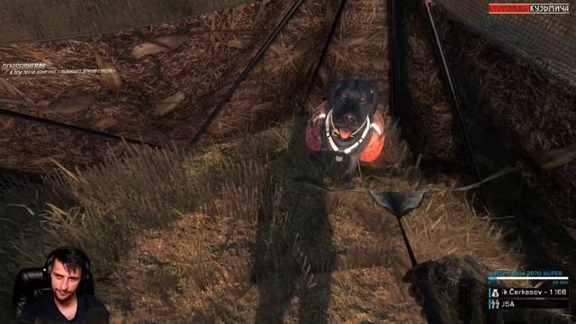 ♢ theHunter Classic ➫ Рубрика: Помощь новичкам ➫ Canada Goose part 2 ➫ Канадская казарка ℘➁ ♢ смотреть онлайн