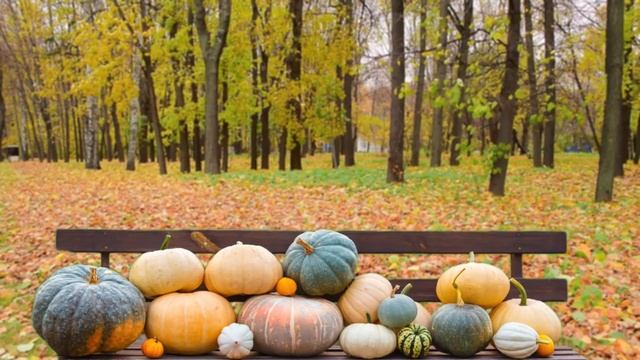 ? MABON Witch Music: Fall Equinox Meditation Instrumental Playlist. Songs for the Autumn Sabbat смотреть онлайн