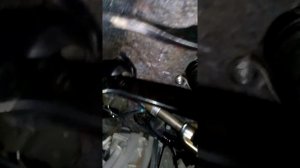 Тойота королла 150 стук?