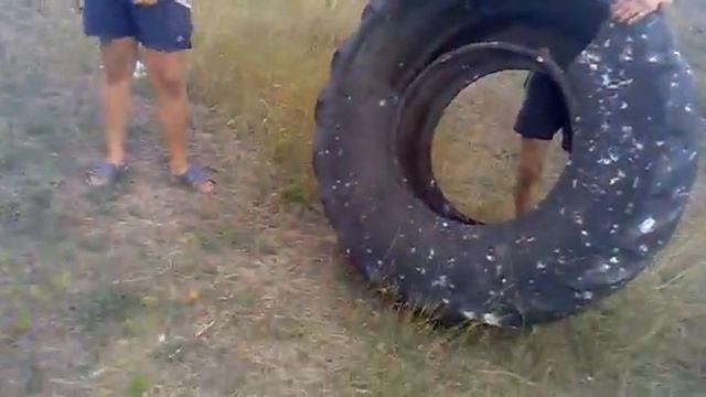 янык в колесе смотреть онлайн