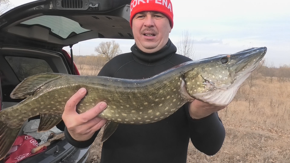 ТРУДОВАЯ ПОДВОДНАЯ ОХОТА на щуку осенью с арбалетом на малых реках смотреть онлайн