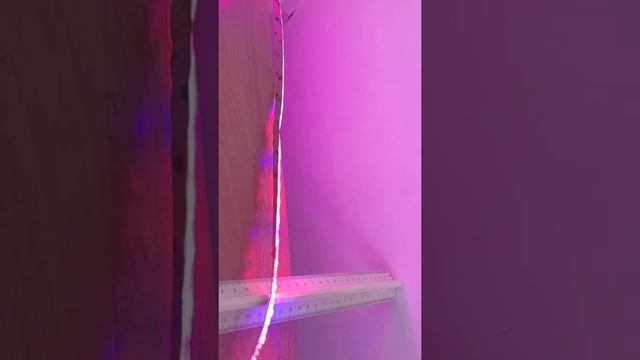 ФИТО ЛЕНТА LED IP65 смотреть онлайн