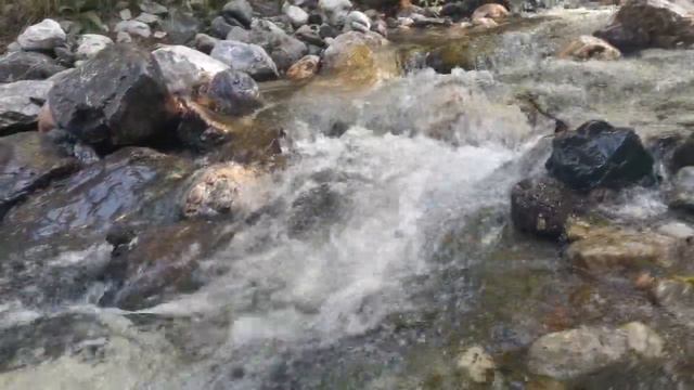 Ата энеге таазим... смотреть онлайн