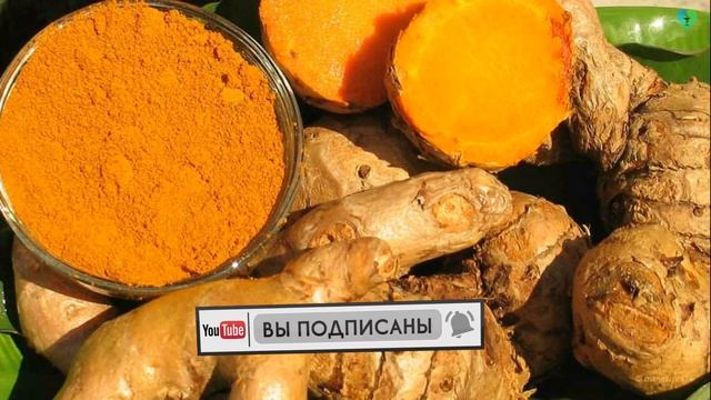 КЕФИР С КУРКУМОЙ: на ночь, утром, для похудения, польза, при диабете, отзывы с корицей медом имбире смотреть онлайн