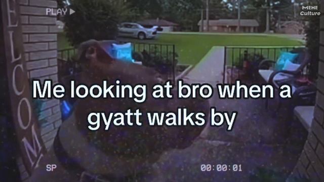 Gyat meme on TikTok. Explained смотреть онлайн