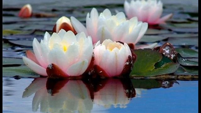 ПОЗДРАВЛЯЮ!!! 9 Б кл смотреть онлайн