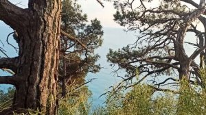 На гору Святой Нины. Опасная Тропа.  Не дошли! Джанхот