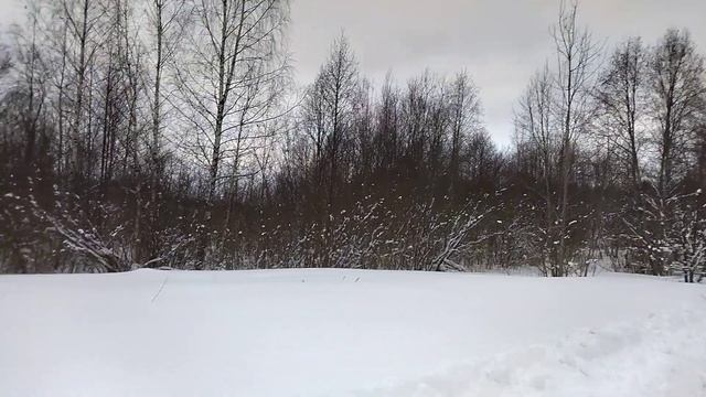 #24февраля, год спустя после переезда из Самары. Красоты зимнего леса. смотреть онлайн