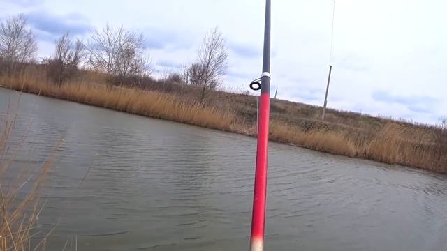 ЛОВЛЯ САЗАНА !!!!!!!! БЕЗУМНЫЙ КЛЁВ !!! смотреть онлайн