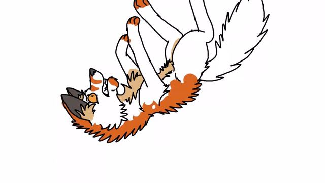 Tripp wolf смотреть онлайн