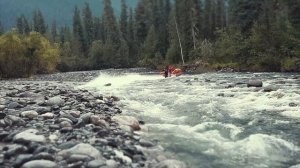 JET WOLF- НЕУБИВАЕМЫЙ водозаборник?!! (INTAKE RUBBER)?