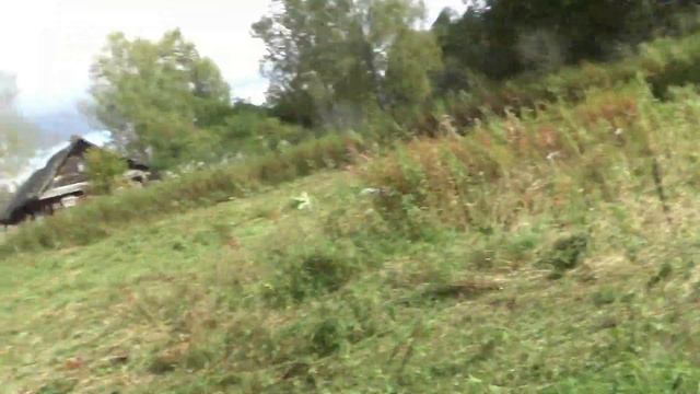 монет нету.ловим мышей на обед смотреть онлайн