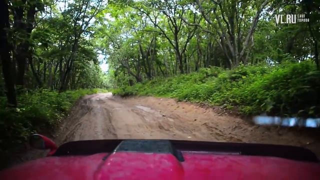 VL.ru - Вятлина