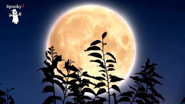 Sleep Disorder - Sleeping Music, Deep Sleep, Insomnia, Meditation Music, Yoga, Stress Relief Music