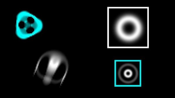 Lenia - Artificial Life from Algorithms