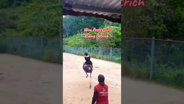 WOW Pretty Girl riding смотреть онлайн