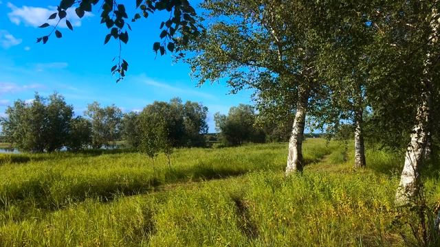 Звуки природы и пение птиц, для Релаксации, Медитации и Сна смотреть онлайн