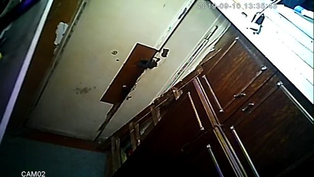 10.09.2019 пьянки начались смотреть онлайн