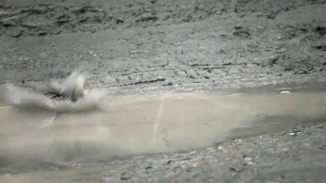 PENTAX Optio WG-3 di Bhinneka.Com смотреть онлайн