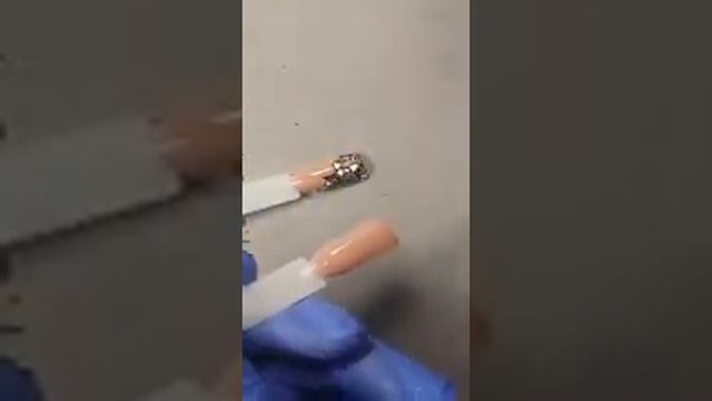 13 Бархатные розы + Черное и белое 2 дизайна смотреть онлайн