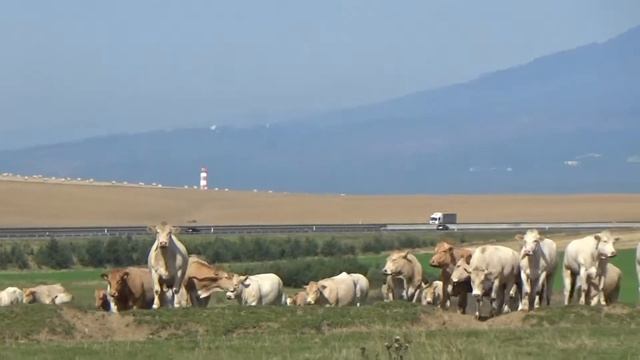 Countryside Civilization: Poprad, Slovakia. смотреть онлайн
