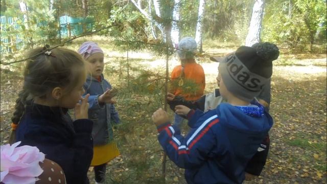любуюсь тобой, моя Россия смотреть онлайн