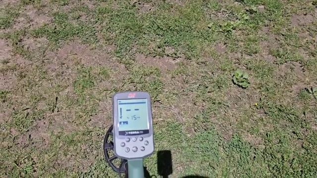 Minelab X-terra Pro Test