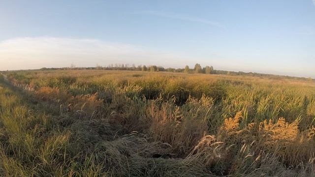 GOPR0463.MP4 смотреть онлайн