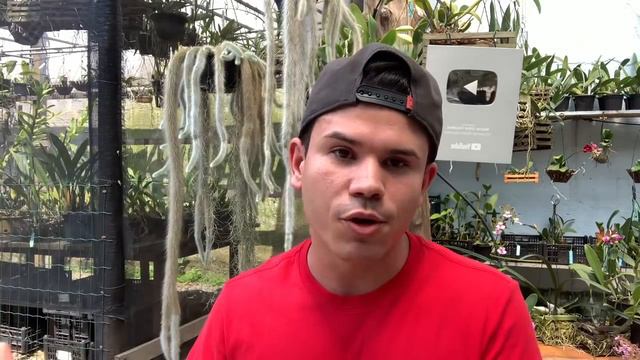 SUA IMPORTÂNCIA NO CANAL MARCOS JÚNIOR ORQUÍDEAS смотреть онлайн