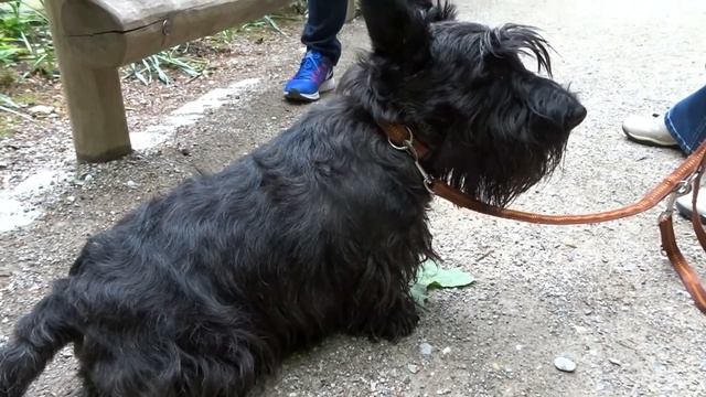 Tierpark  Hellabrunn